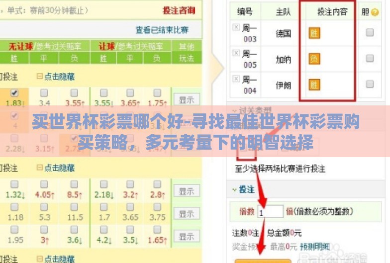 买世界杯彩票哪个好-寻找最佳世界杯彩票购买策略，多元考量下的明智选择
