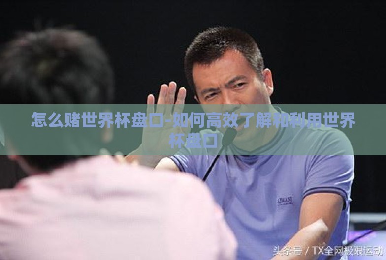 怎么赌世界杯盘口-如何高效了解和利用世界杯盘口