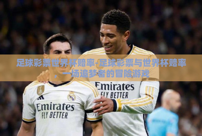 足球彩票世界杯赔率-足球彩票与世界杯赔率，一场追梦者的冒险游戏