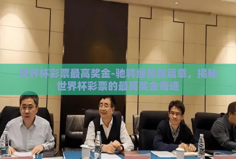 世界杯彩票最高奖金-驰骋绿茵新篇章，揭秘世界杯彩票的最高奖金奇迹