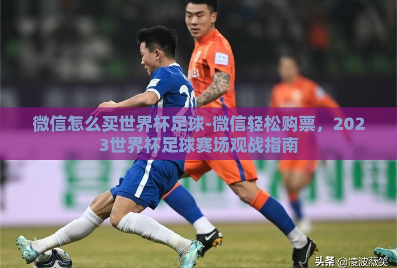 微信怎么买世界杯足球-微信轻松购票，2023世界杯足球赛场观战指南