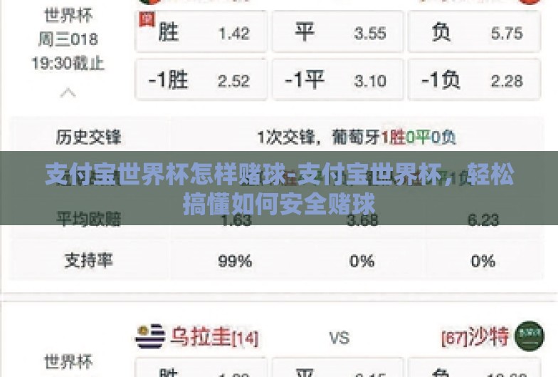 支付宝世界杯怎样赌球-支付宝世界杯，轻松搞懂如何安全赌球