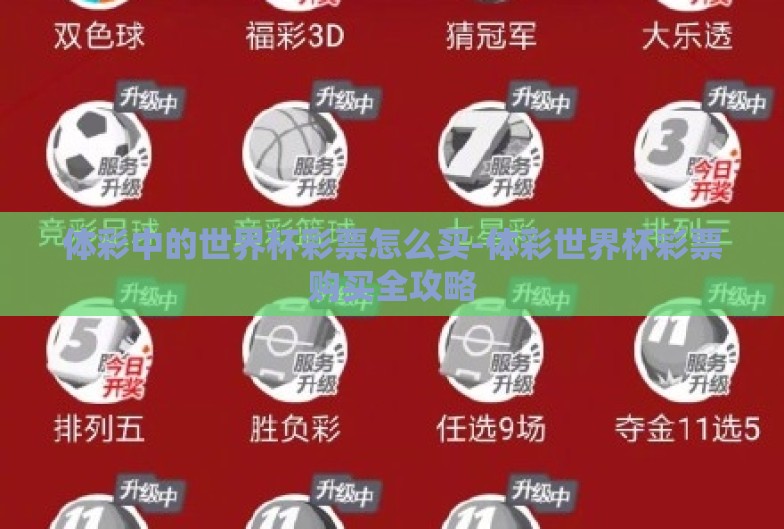 体彩中的世界杯彩票怎么买-体彩世界杯彩票购买全攻略