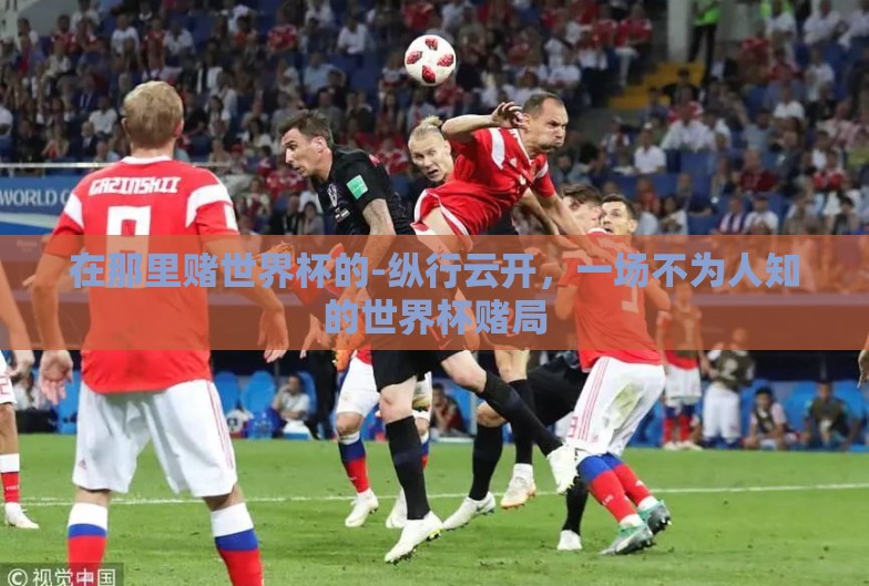在那里赌世界杯的-纵行云开，一场不为人知的世界杯赌局