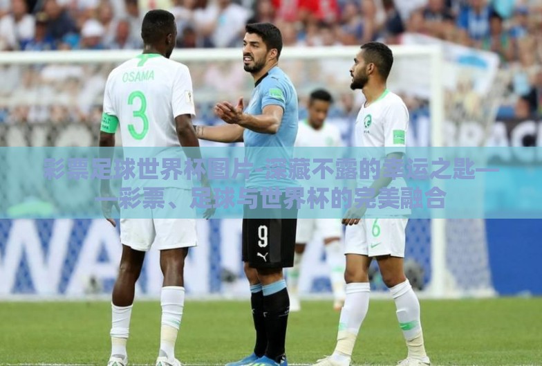 彩票足球世界杯图片-深藏不露的幸运之匙——彩票、足球与世界杯的完美融合