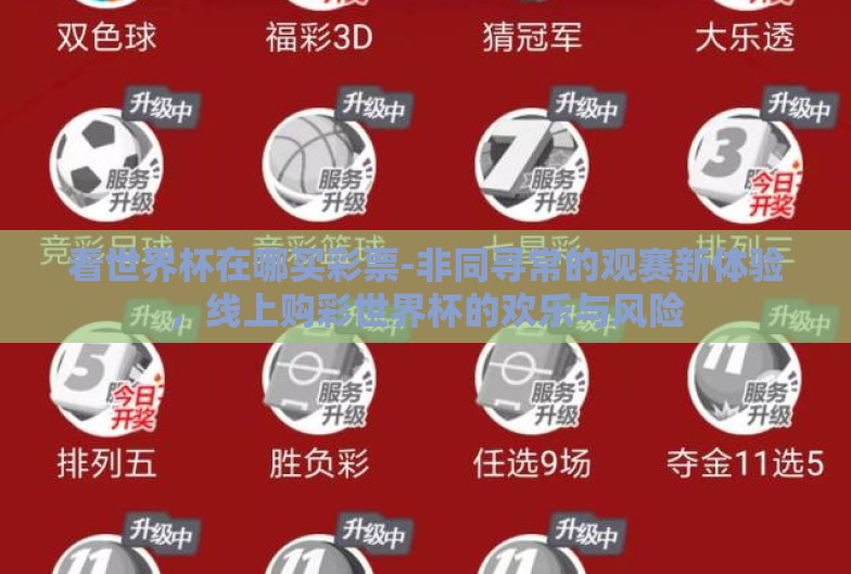 看世界杯在哪买彩票-非同寻常的观赛新体验,线上购彩世界杯的欢乐与风险 看世界杯在哪买彩票-非同寻常的观赛新体验,线上购彩世界杯的欢乐与风险