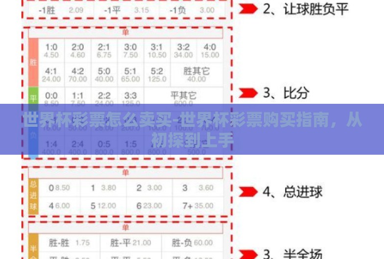 世界杯彩票怎么卖买-世界杯彩票购买指南，从初探到上手