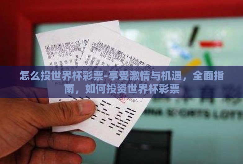 怎么投世界杯彩票-享受激情与机遇，全面指南，如何投资世界杯彩票